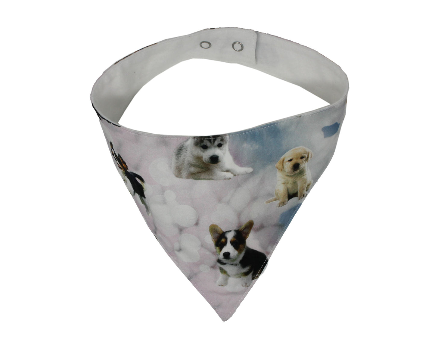 Hunde-Halstuch "Hundehimmel"