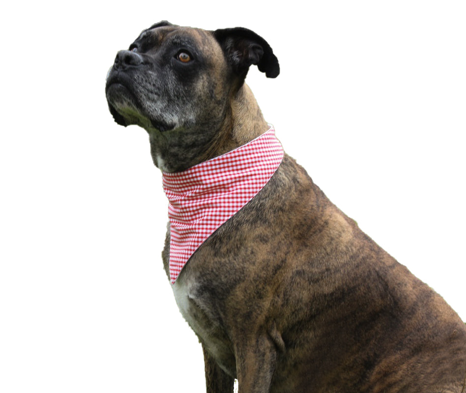 Hunde-Halstuch "Twist Karo"