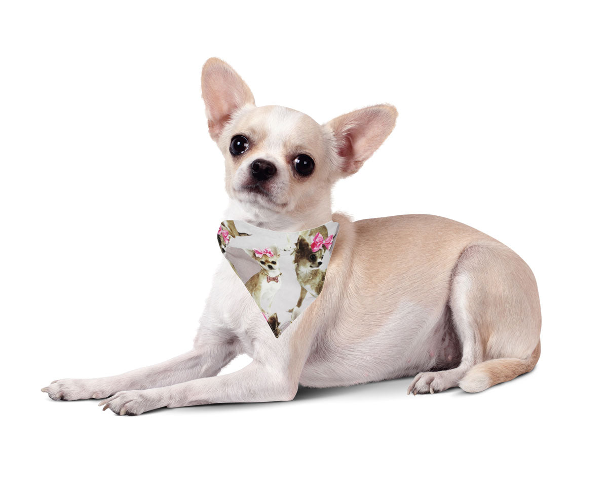 Hunde-Halstuch "PinkyBell"