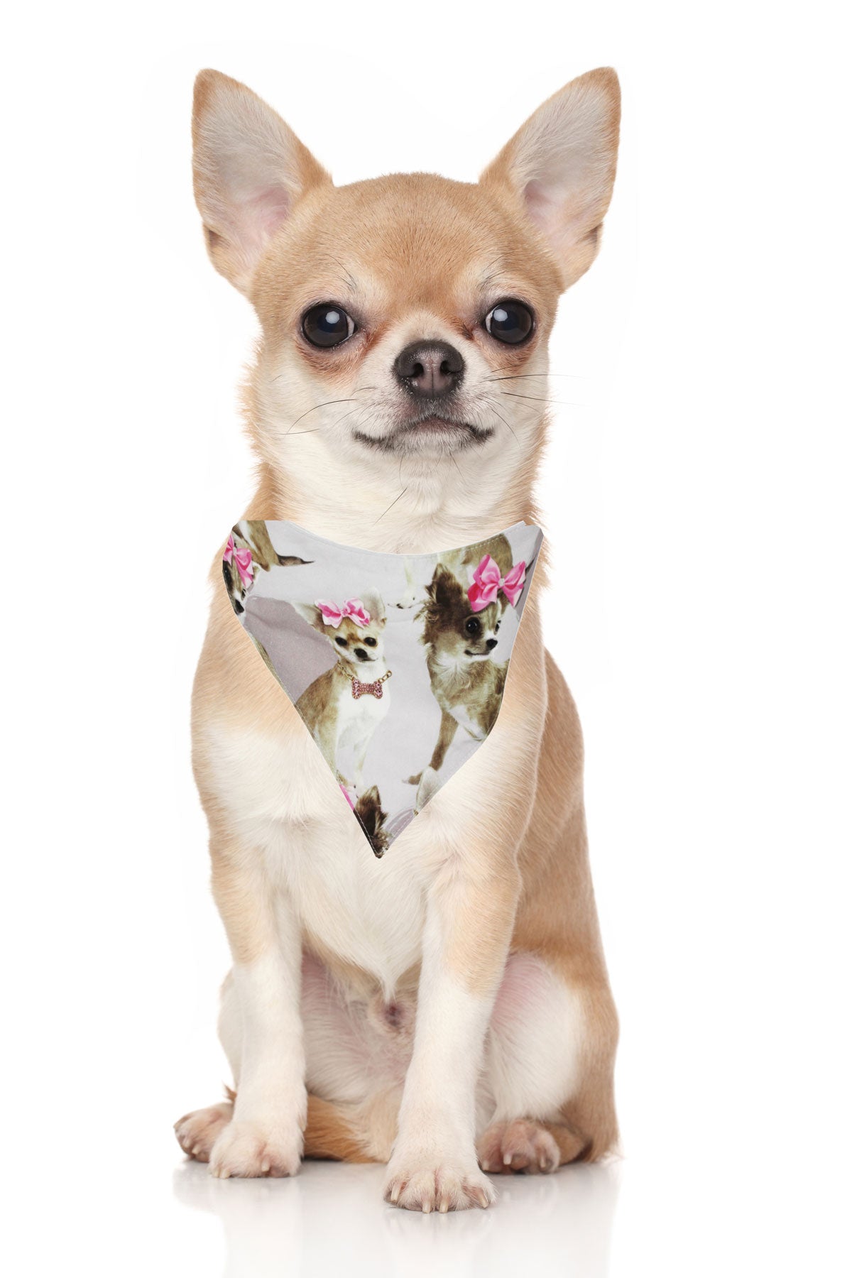 Hunde-Halstuch "PinkyBell"