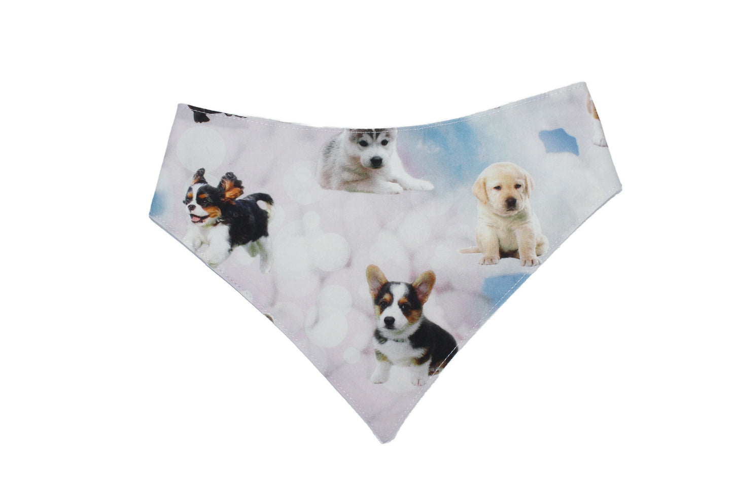 Hunde-Halstuch "Hundehimmel"