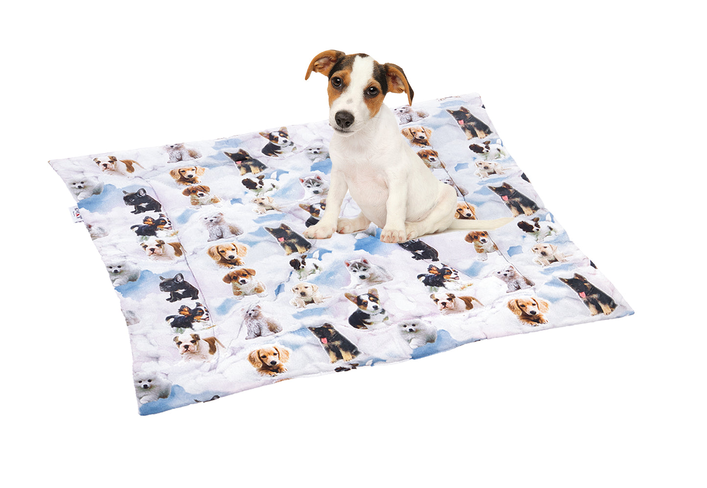 (Hunde-)Decke "Hunde im Himmel"